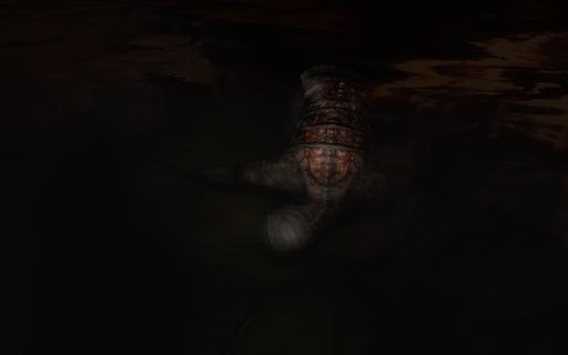S.T.A.L.K.E.R.: Зов Припяти - Искусство в Зоне Отчуждения